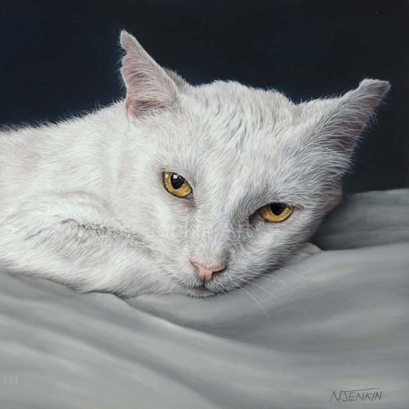 Cat portrait of a white cat lying on a blanket by Naomi Jenkin Art.