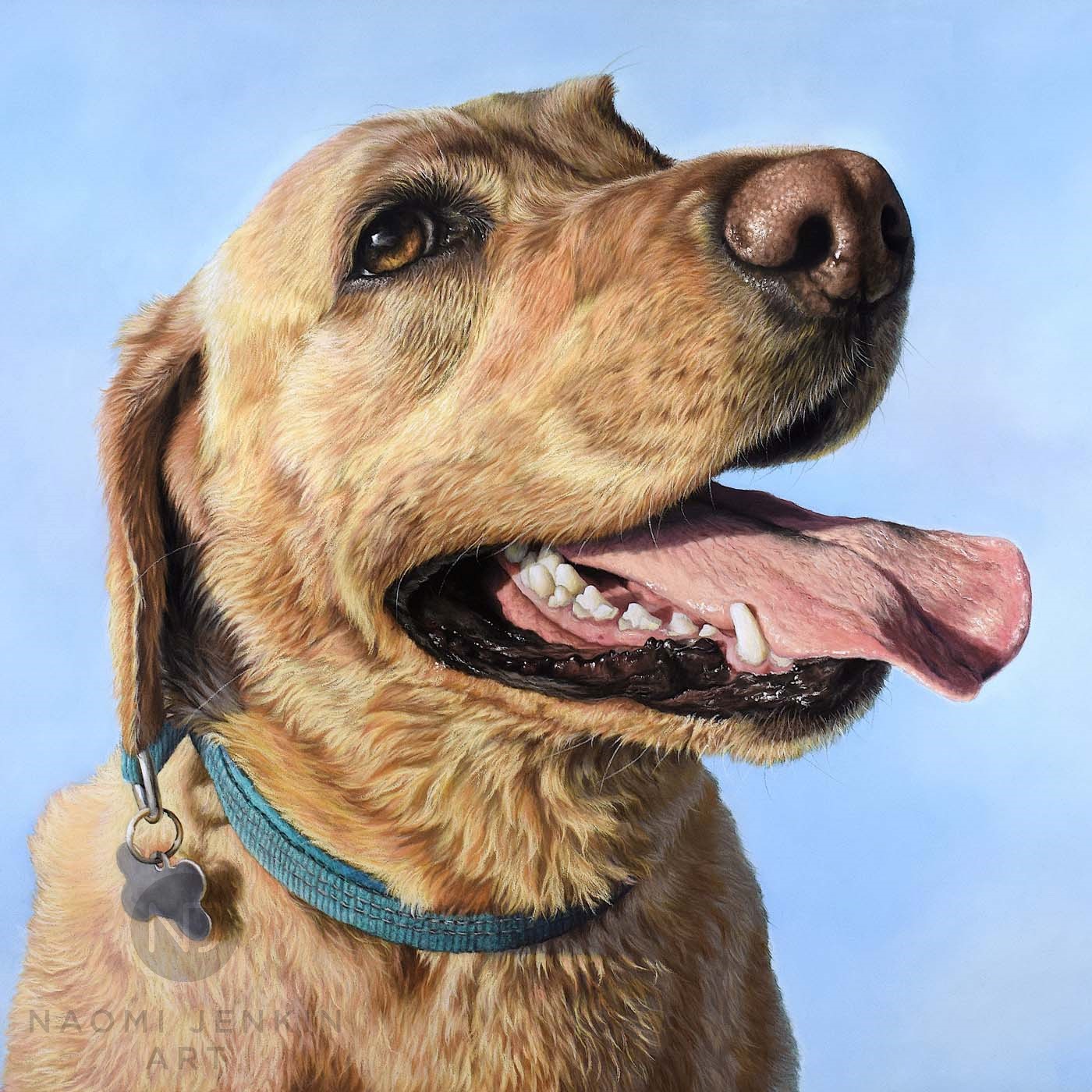 Yellow Labrador portrait by Naomi Jenkin Art.