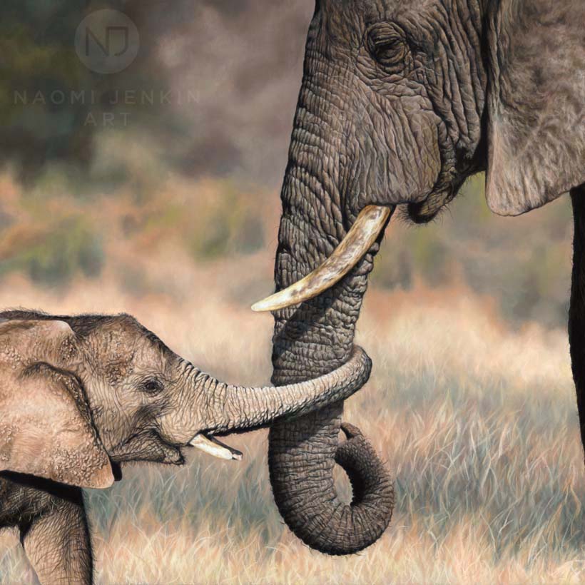 Wildlife art drawing of African elephants by Naomi Jenkin Art. 