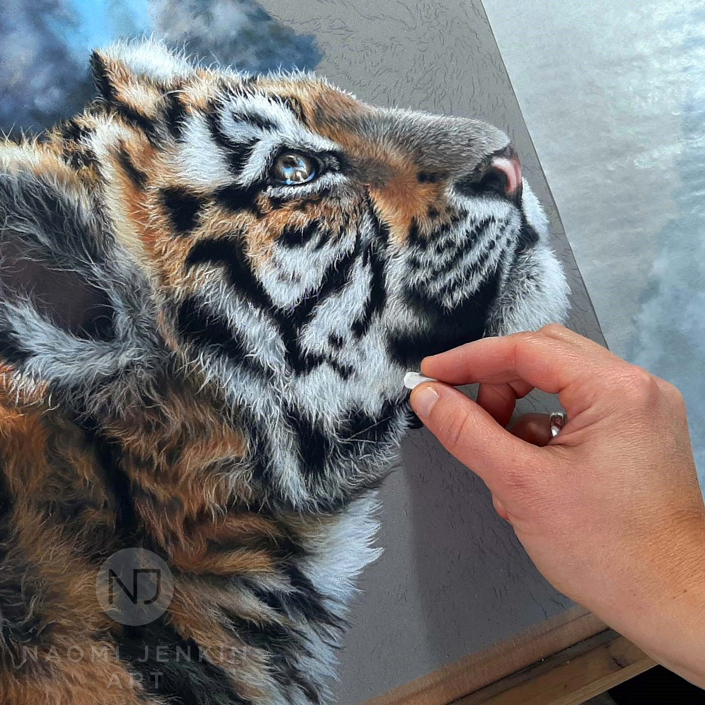 Wildlife artist Naomi Jenkin drawing an Amur tiger in pastels.