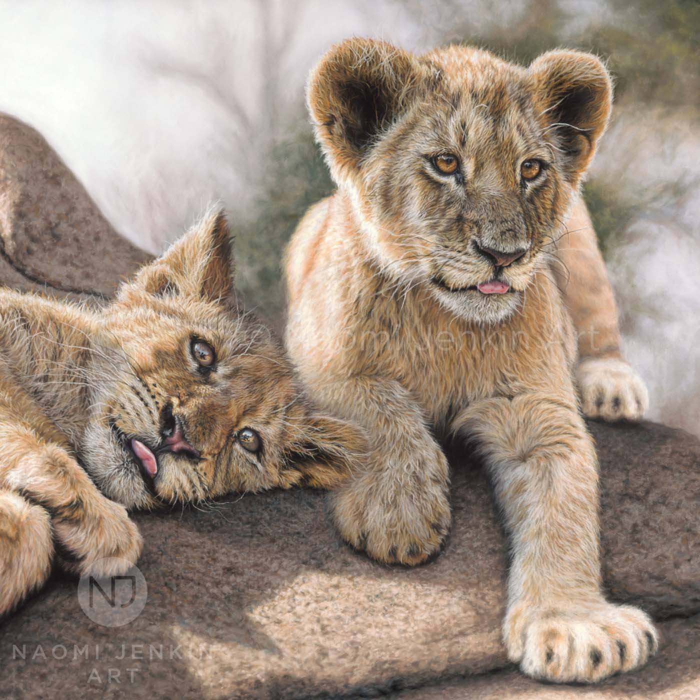 Lion art by wildlife artist Naomi Jenkin. 