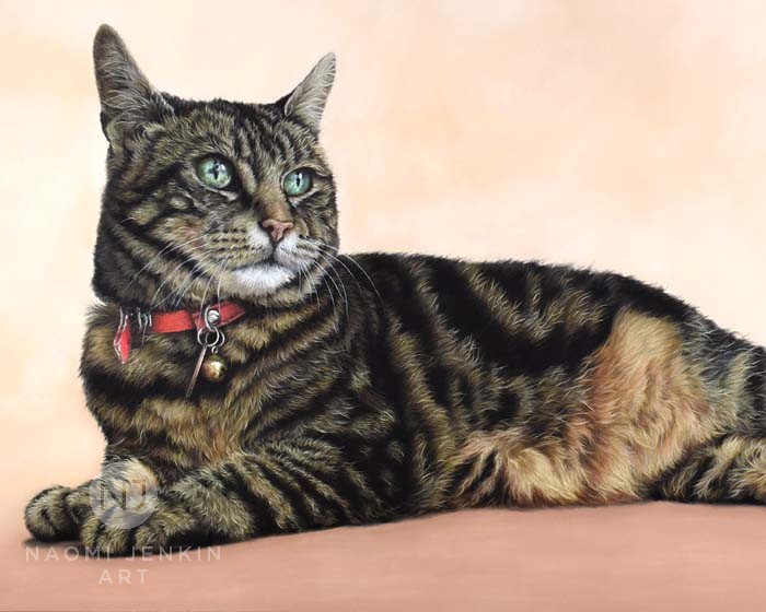 Cat portrait of Tammy the tabby