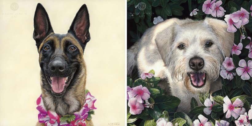 Dog portraits by Naomi Jenkin