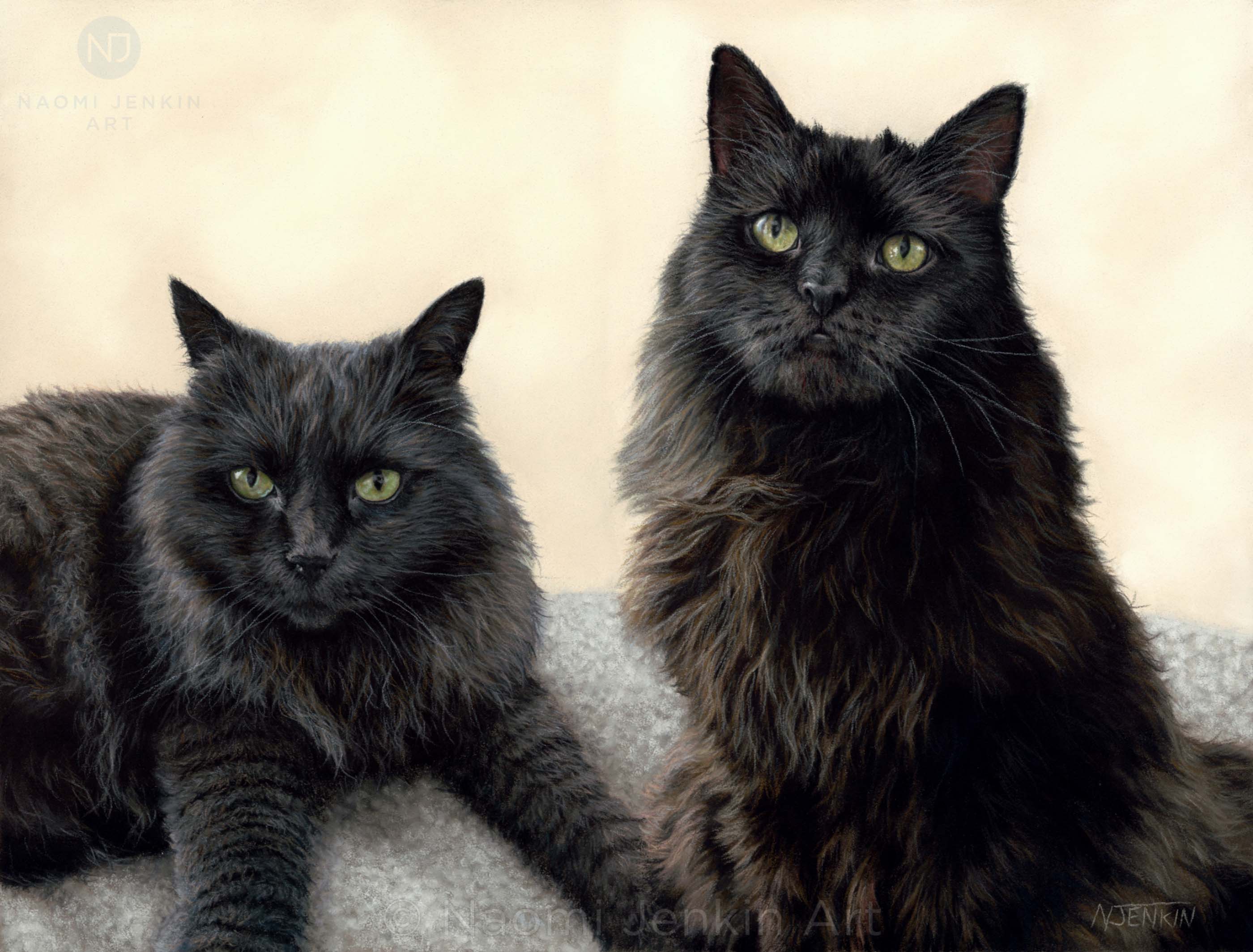 Custom hand drawn cat portrait of two black cats by Naomi Jenkin Art