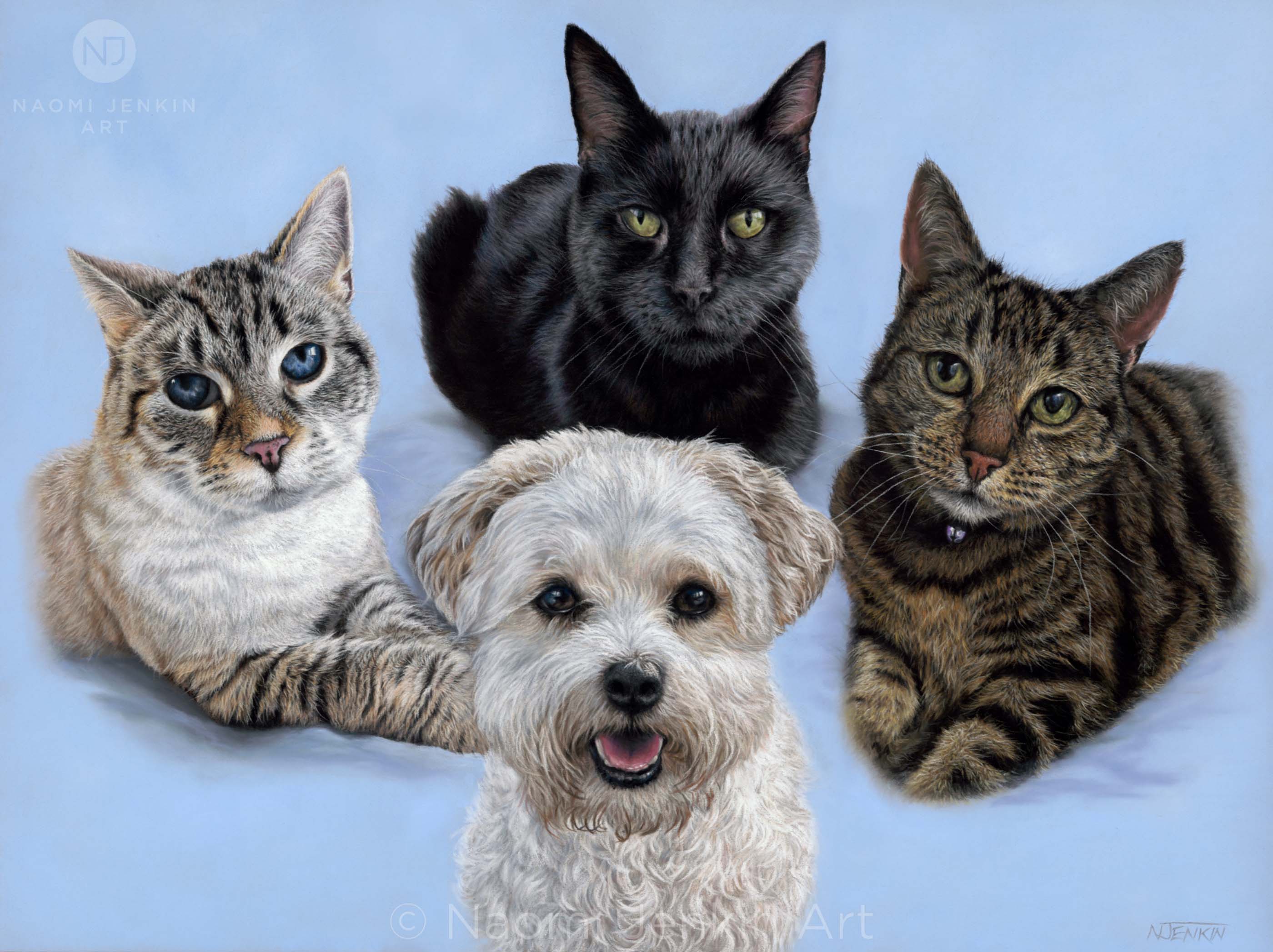 Pet portrait of four pets by Naomi Jenkin Art