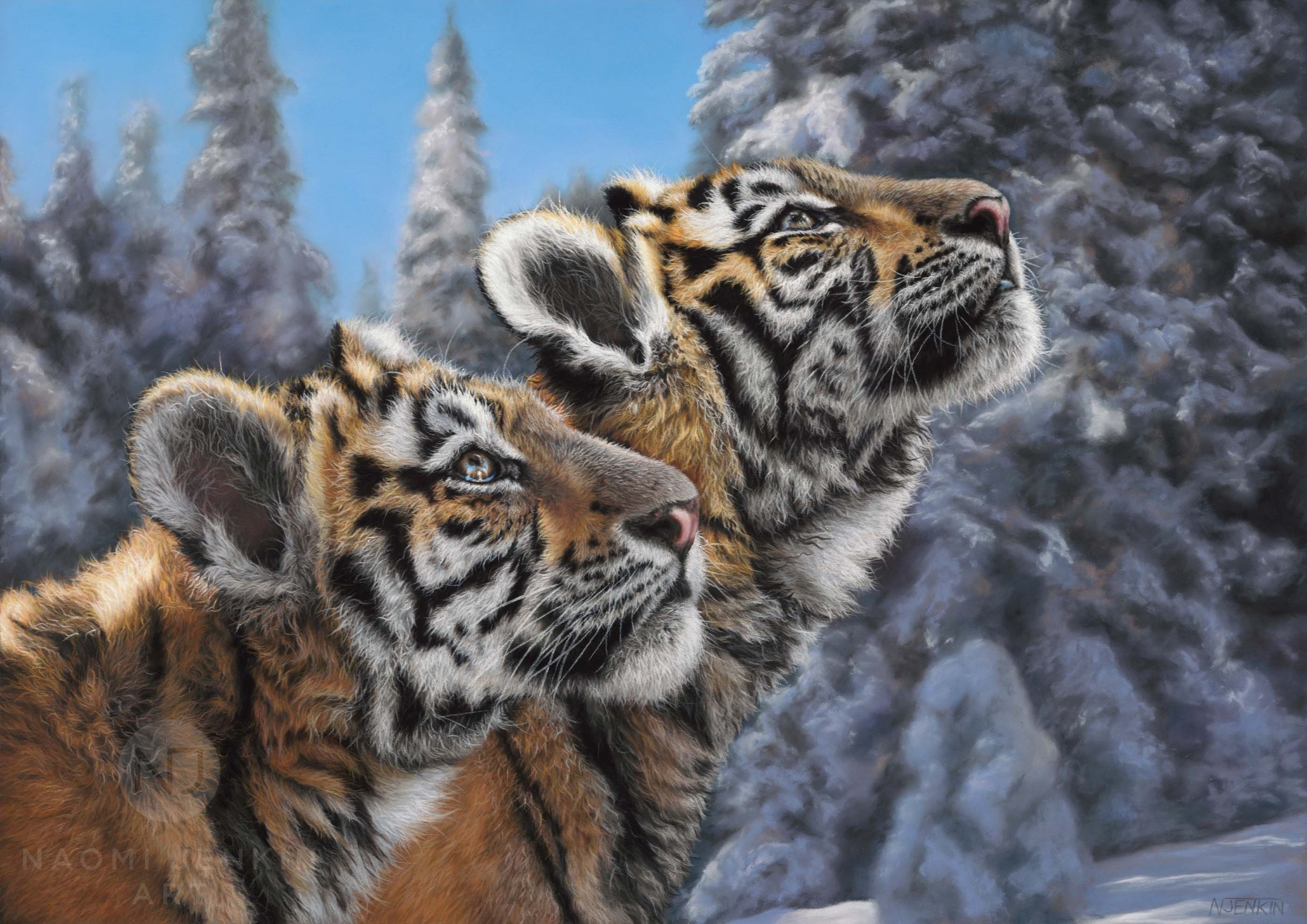 Tiger painting by wildlife artist Naomi Jenkin.