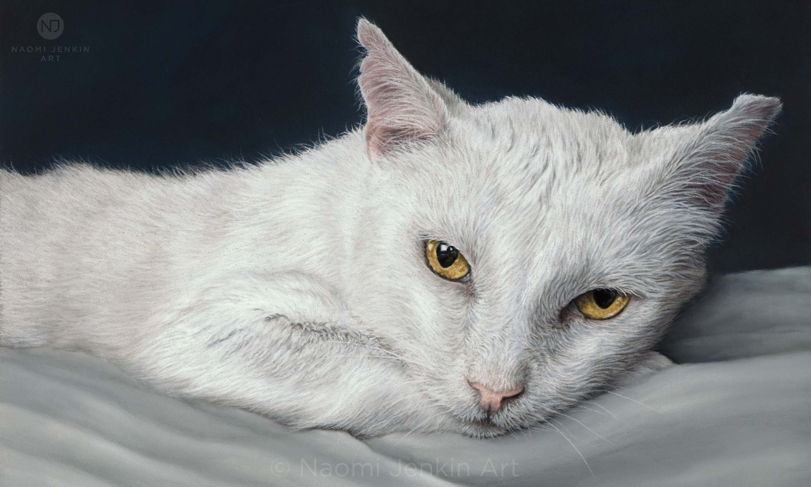 Cat portrait of a white cat by Naomi Jenkin Art