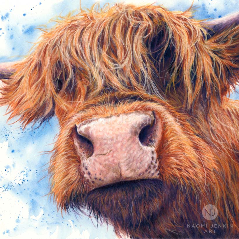 Original highland cow art 