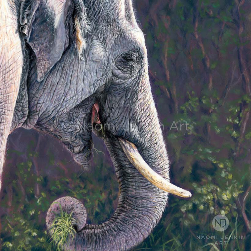 Original Asian elephant art 