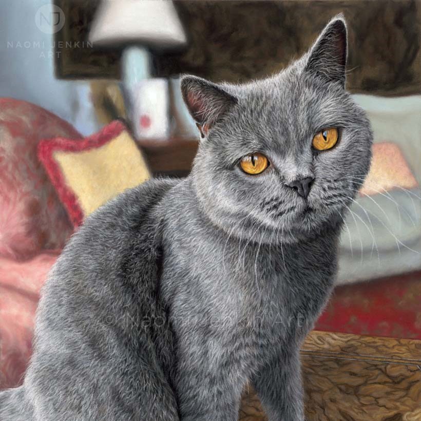 Cat portrait of a British Shorthair cat  by pet portrait artist Naomi Jenkin.