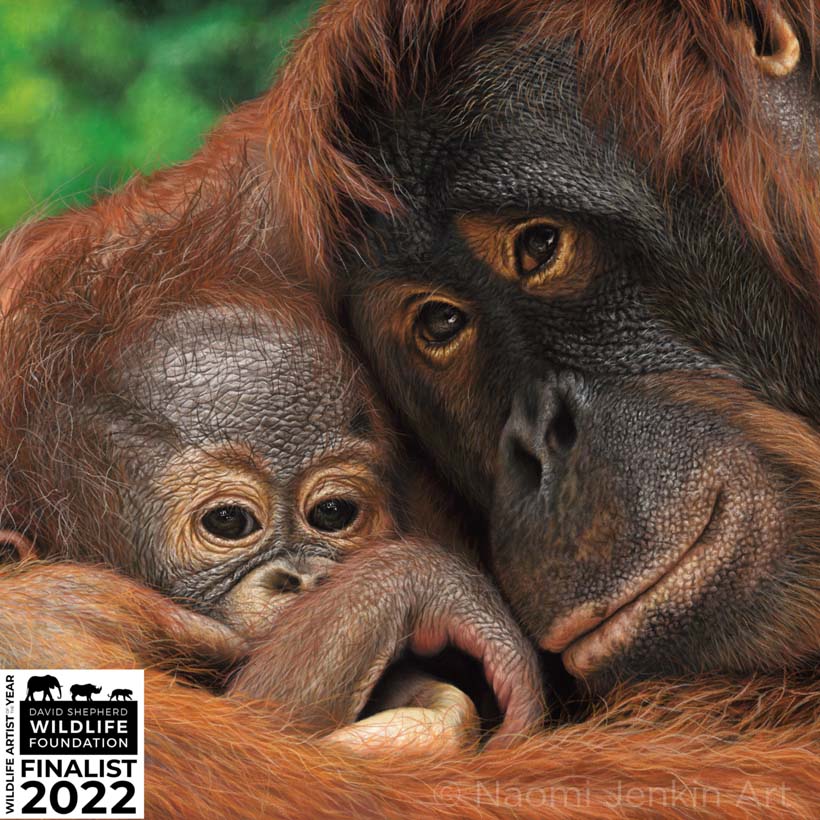Orangutan painting 'Hold Me Closer' by Wildlife Artist of the Year 2022 finalist Naomi Jenkin. 