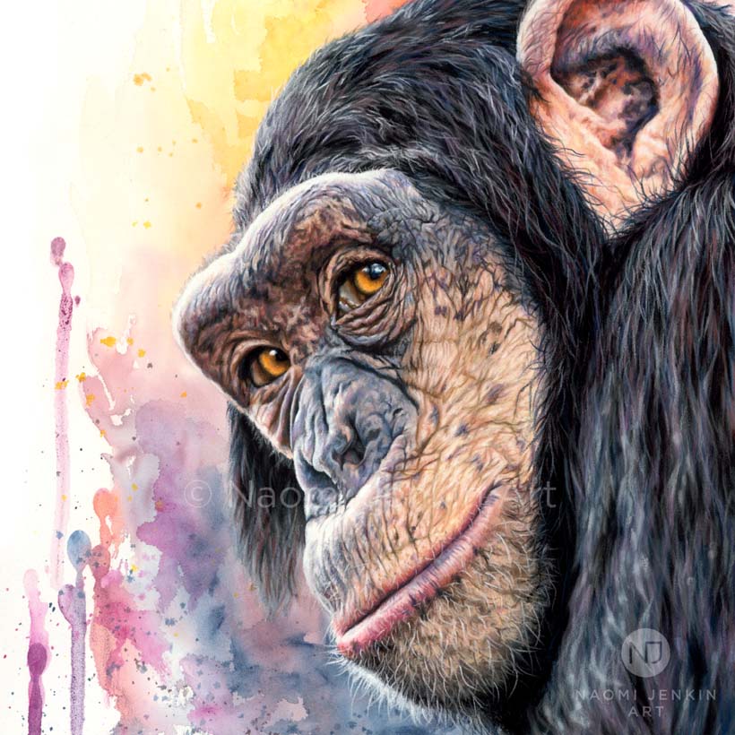 Original chimpanzee art 