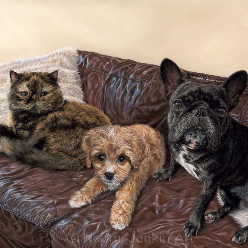 Pet portrait of a cat and two dogs by Naomi Jenkin Art