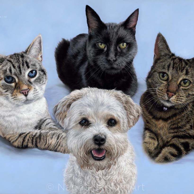 Pet portrait by Naomi Jenkin of three cats and one dog