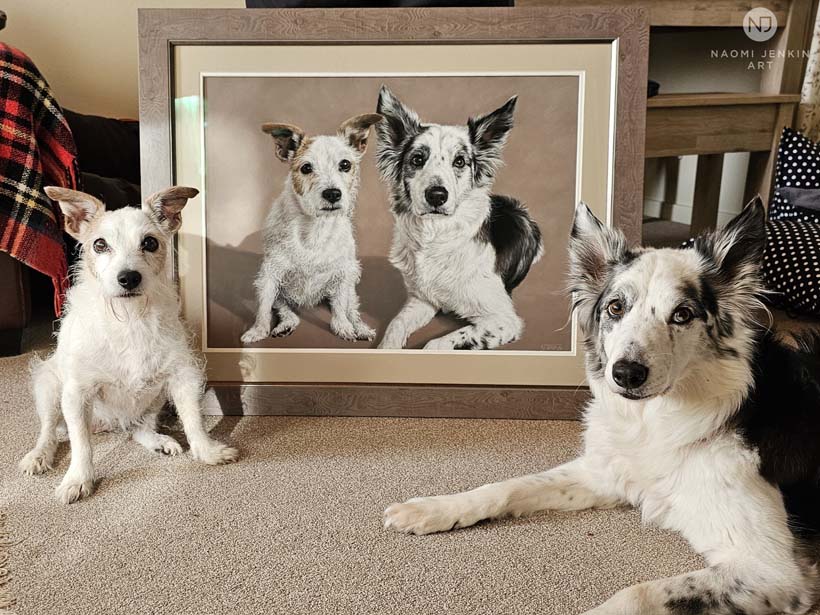 A Jack Russell and Collie posing with their dog portrait drawn by Naomi Jenkin