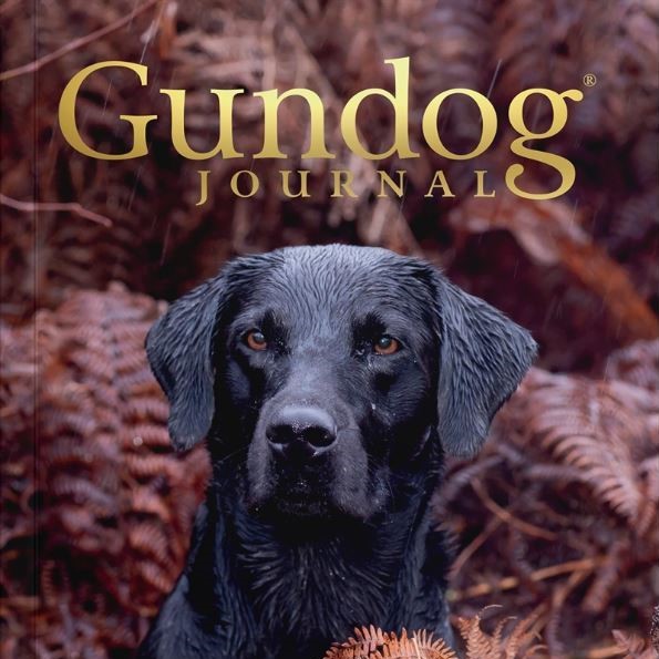 Gundog Journal Volume VI Issue IV