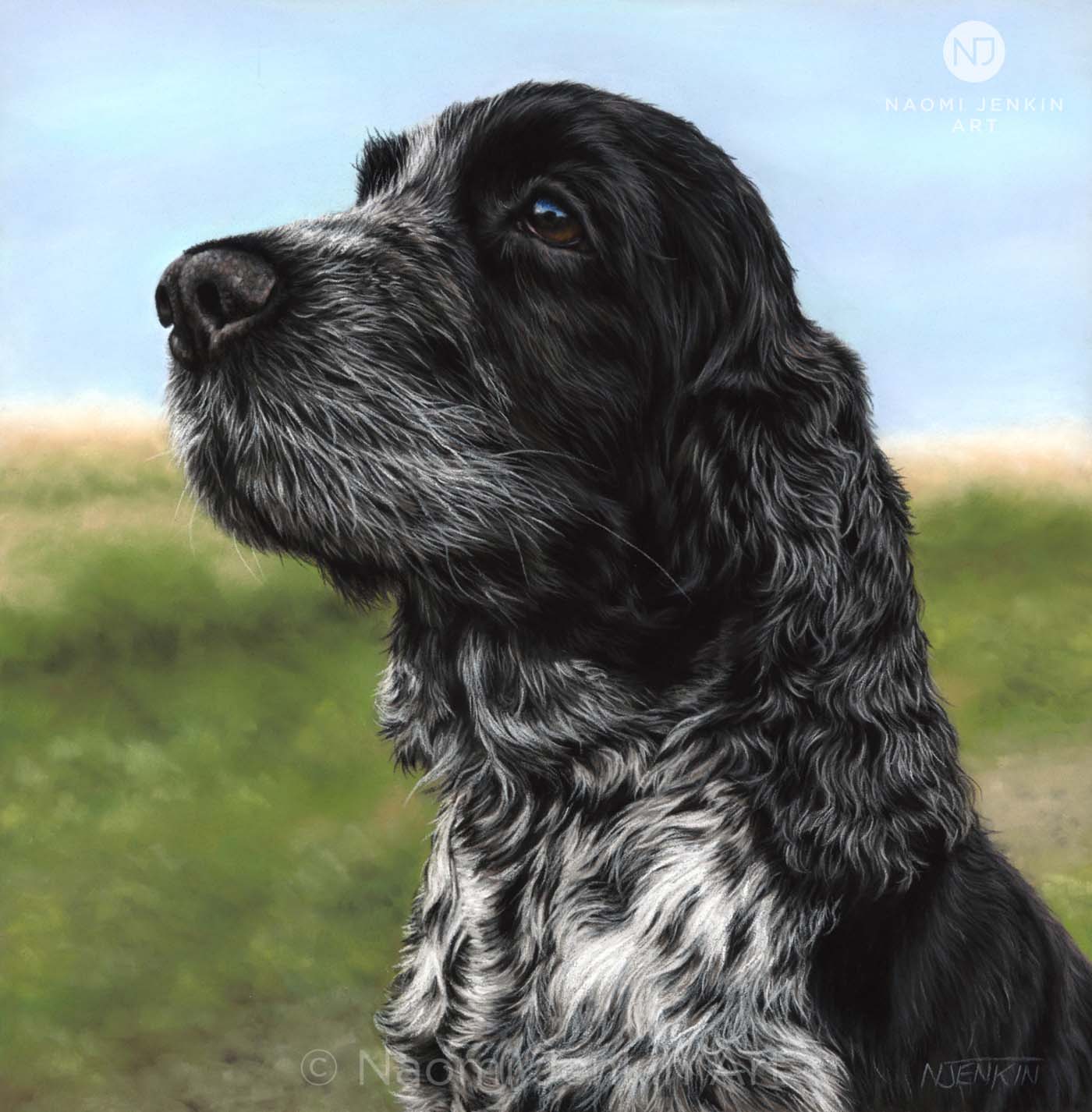 Dog portrait of Milly the Cocker Spaniel by Naomi Jenkin Art.