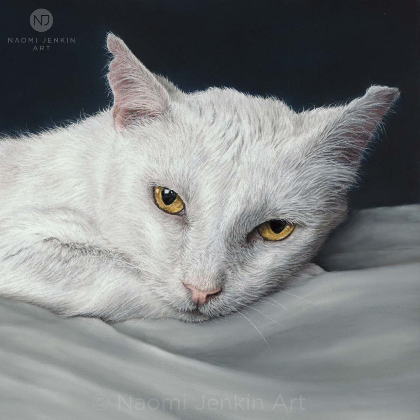 Cat portrait of Yoda by Naomi Jenkin Art.