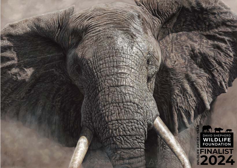 Elephant painting by Naomi Jenkin Art finalist in Wildlife Artist of the Year 2024. 