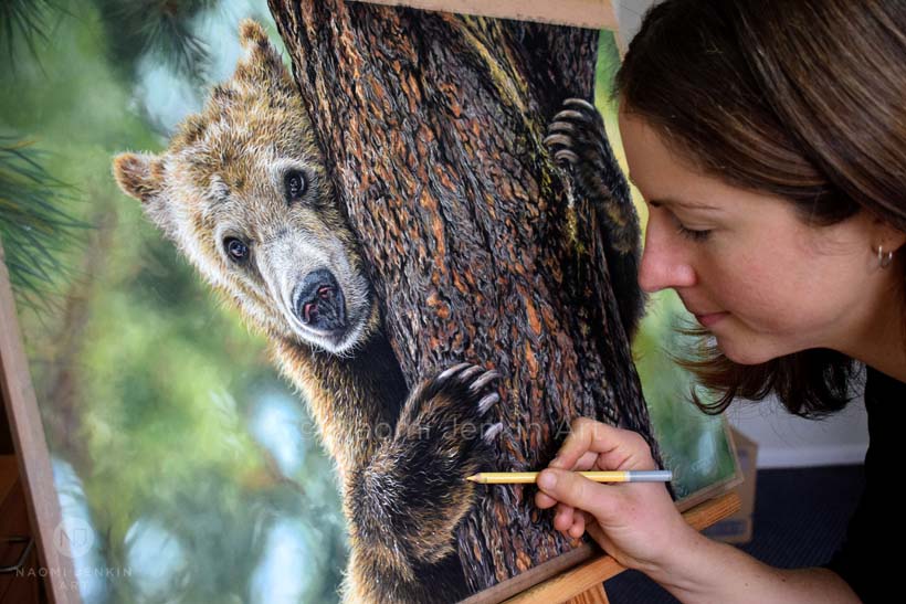 Wildlife artist Naomi Jenkin creating her original grizzly bear drawing 