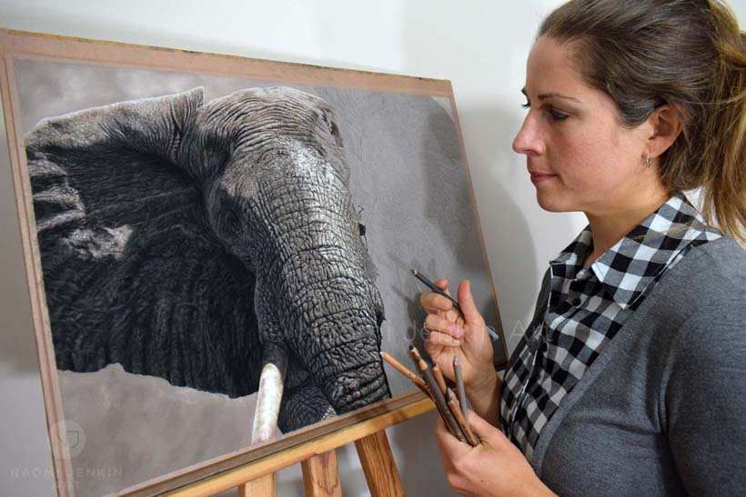 Naomi Jenkin drawing "The Elephant Charge" which was a finalist artwork in Wildlife Artist of the Year 2024