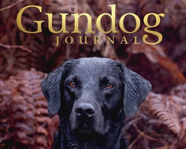 Gundog Journal Volume VI Issue IV