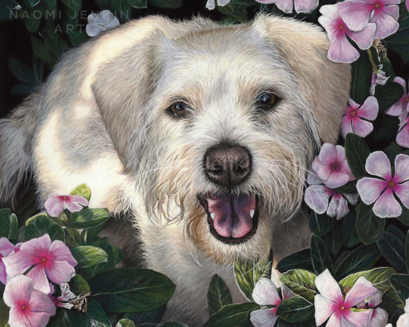 Portrait of Lattie the Terrier amongst flowers by Naomi Jenkin Art