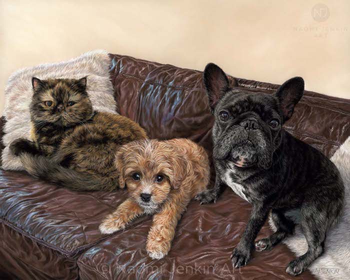 Pet portrait by Naomi Jenkin featuring two dogs and a cat