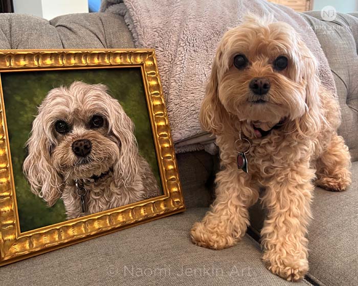 Dog portrait of a Cavapoo drawn by Naomi Jenkin.