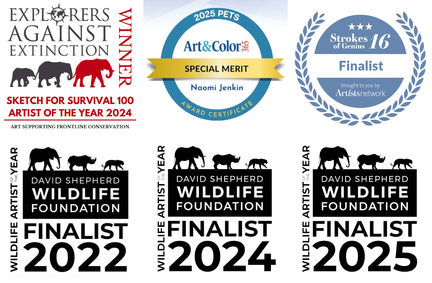 Naomi Jenkin award winning artist